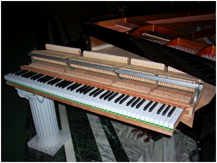 Piano Action